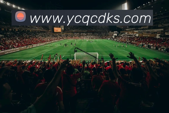 多媒体互动体验