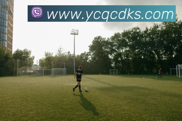 九游体育娱乐官网APP 体育赛事宣传图